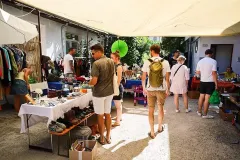 2503558_hofflohmarkt-suedstadt_thomas_riedel
