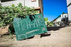 2503562_hofflohmarkt-suedstadt_thomas_riedel