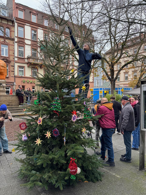 Weihnachtsbaum 2025